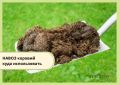 Коровий навоз: когда и куда вносить, чтобы не навредить растениям