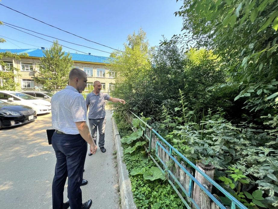Чистота и благоустройство хабаровских дворов под контролем краевых властей Чистота и благоустройство хабаровских дворов под контролем краевых властей