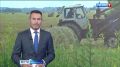 «Лопата и пыль в прошлом»: хабаровские фермеры автоматизируют сушку зерна при поддержке государства