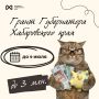 Беги подавать заявку на грант Губернатора Хабаровского края!