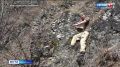 ������� ������ �������� � ��� ������ ����� �������� � ����� ���������� ��������� ��������� �����