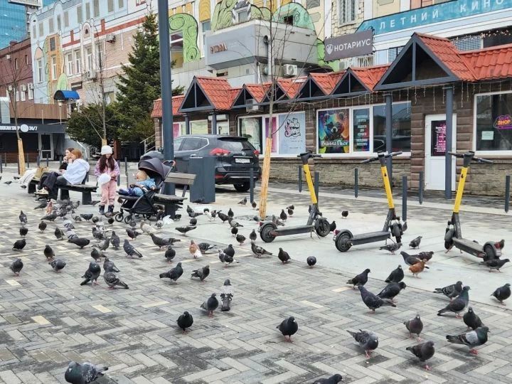 Хабаровчане и приморцы чаще всего пользуются арендой самокатов