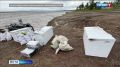 Незаконную осетровую фабрику ликвидировала полиция в Ульчском районе