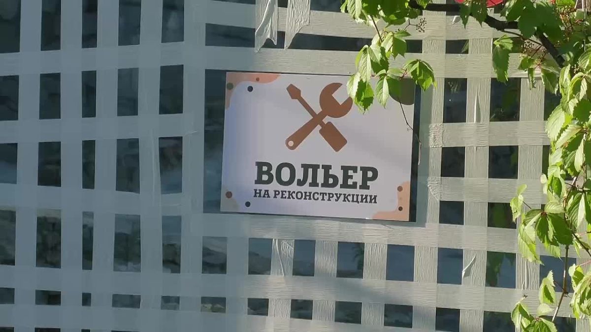 Тигрицу из Хабаровского края по кличке Агафья привезли в Ленинградский зоопарк