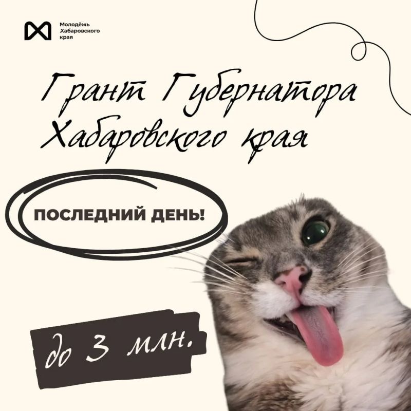 Помнишь, что мы говорили про грант Губернатора Хабаровского края?