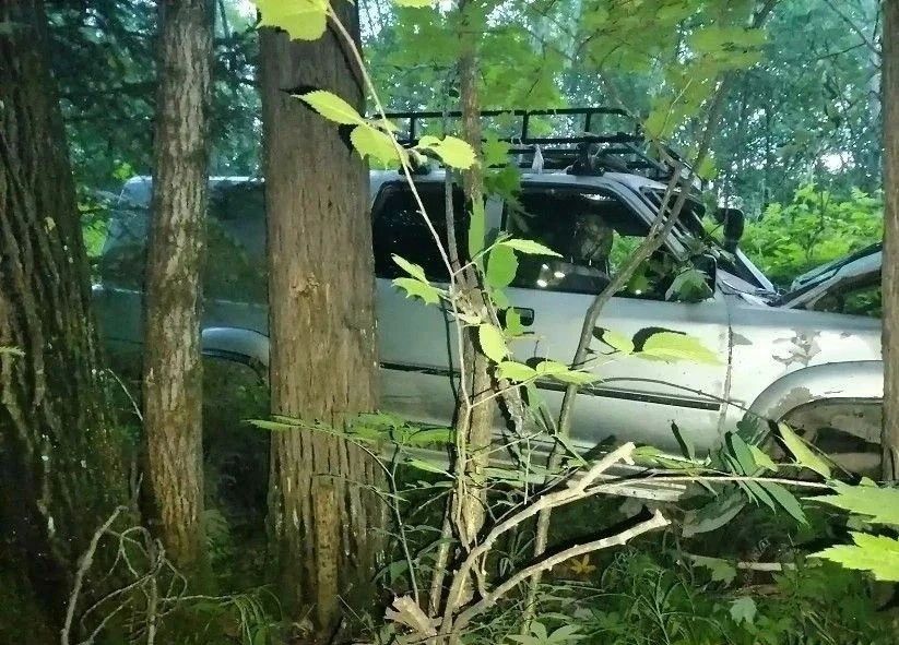 Toyota съехала в кювет и врезалась в дерево в Солнечном округе – пострадали трое Toyota съехала в кювет и врезалась в дерево в Солнечном округе – пострадали трое