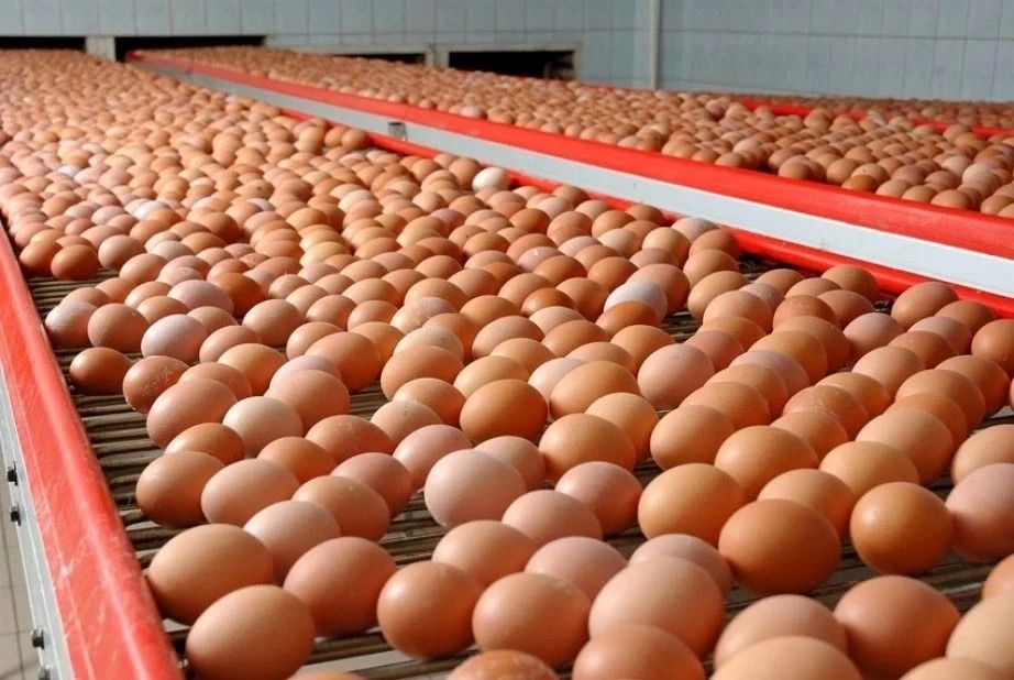 Правительство края поддерживает производство местной сельхозпродукции Правительство края поддерживает производство местной сельхозпродукции