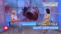 Сердце под контролем: как сохранить главный орган здоровым?