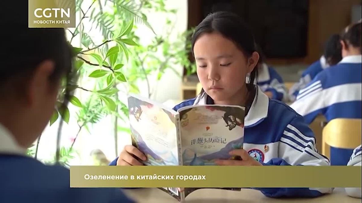 Телеканал «Хабаровск» и глобальная телевизионная сеть Китая CGTN заключили договор об информационном сотрудничестве