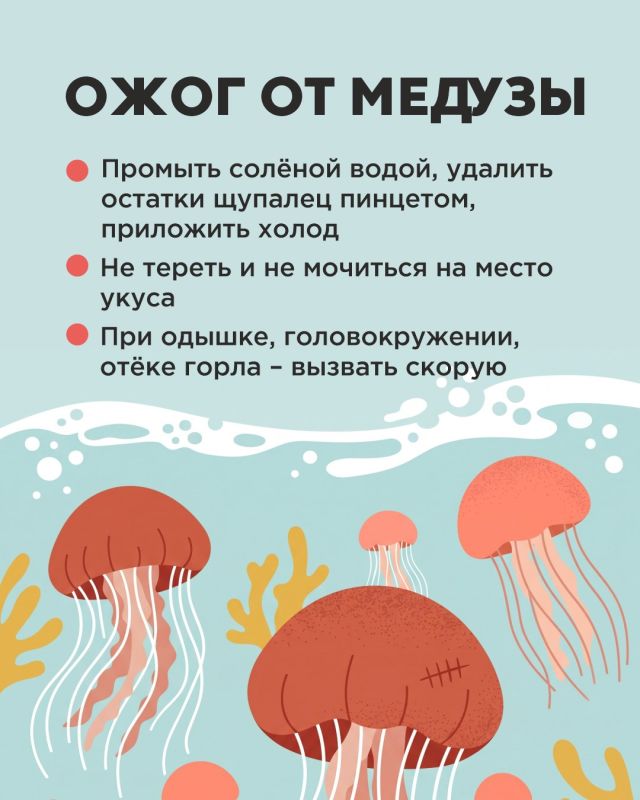 Как оказать первую помощь при ожогах? Как оказать первую помощь при ожогах?
