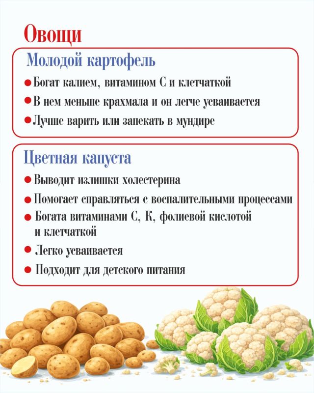 Полезные продукты июля: сезонные овощи, фрукты, ягоды для здоровья семьи Полезные продукты июля: сезонные овощи, фрукты, ягоды для здоровья семьи