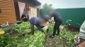 Хабаровчанин обустроил на участке сожительницы необычный огород