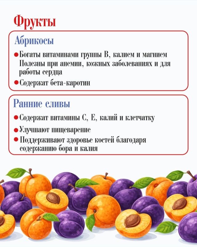 Полезные продукты июля: сезонные овощи, фрукты, ягоды для здоровья семьи Полезные продукты июля: сезонные овощи, фрукты, ягоды для здоровья семьи