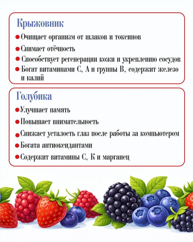 Полезные продукты июля: сезонные овощи, фрукты, ягоды для здоровья семьи Полезные продукты июля: сезонные овощи, фрукты, ягоды для здоровья семьи