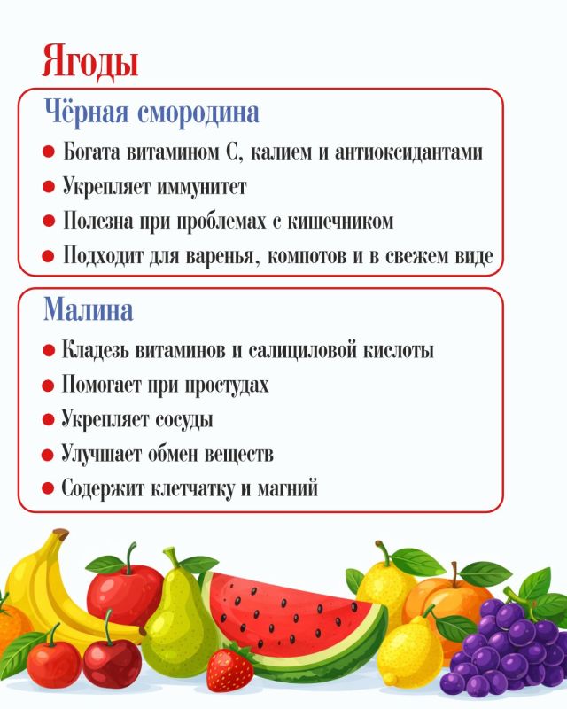 Полезные продукты июля: сезонные овощи, фрукты, ягоды для здоровья семьи Полезные продукты июля: сезонные овощи, фрукты, ягоды для здоровья семьи