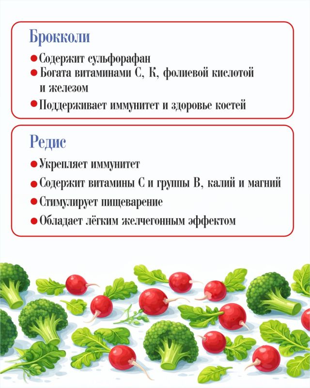 Полезные продукты июля: сезонные овощи, фрукты, ягоды для здоровья семьи Полезные продукты июля: сезонные овощи, фрукты, ягоды для здоровья семьи
