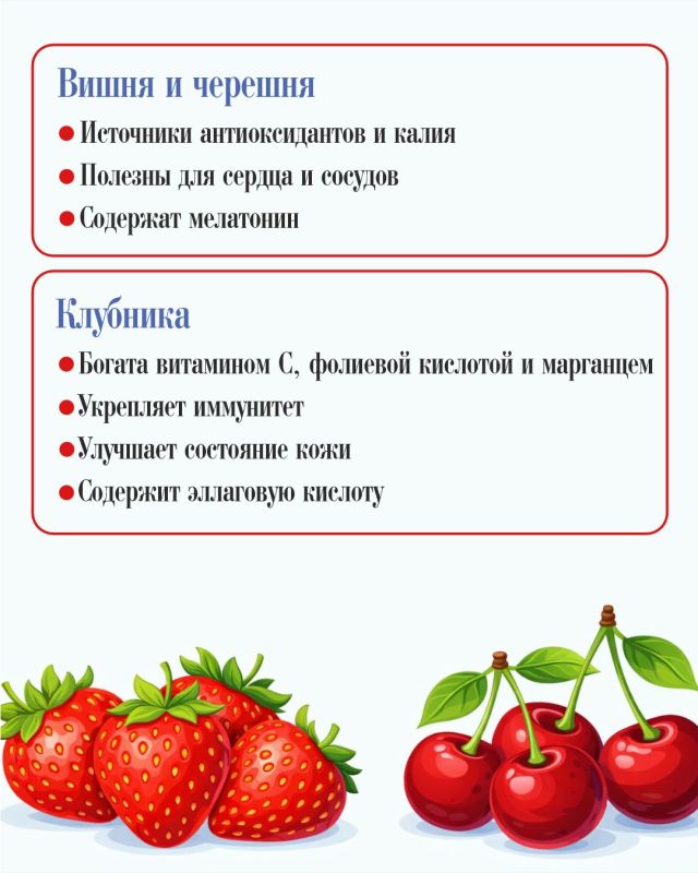 Полезные продукты июля: сезонные овощи, фрукты, ягоды для здоровья семьи Полезные продукты июля: сезонные овощи, фрукты, ягоды для здоровья семьи