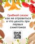 ������� �����: ������ �� ������������ � �������� ��� ������ ��������� ����������