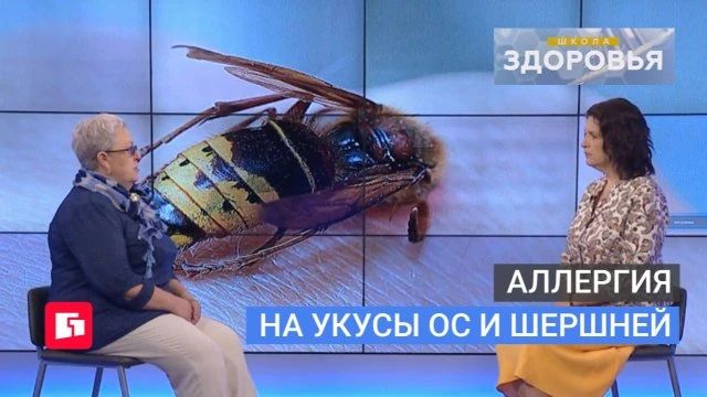 Оса, шершень и мошка: чем опасны укусы и как защититься?
