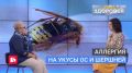 Оса, шершень и мошка: чем опасны укусы и как защититься?