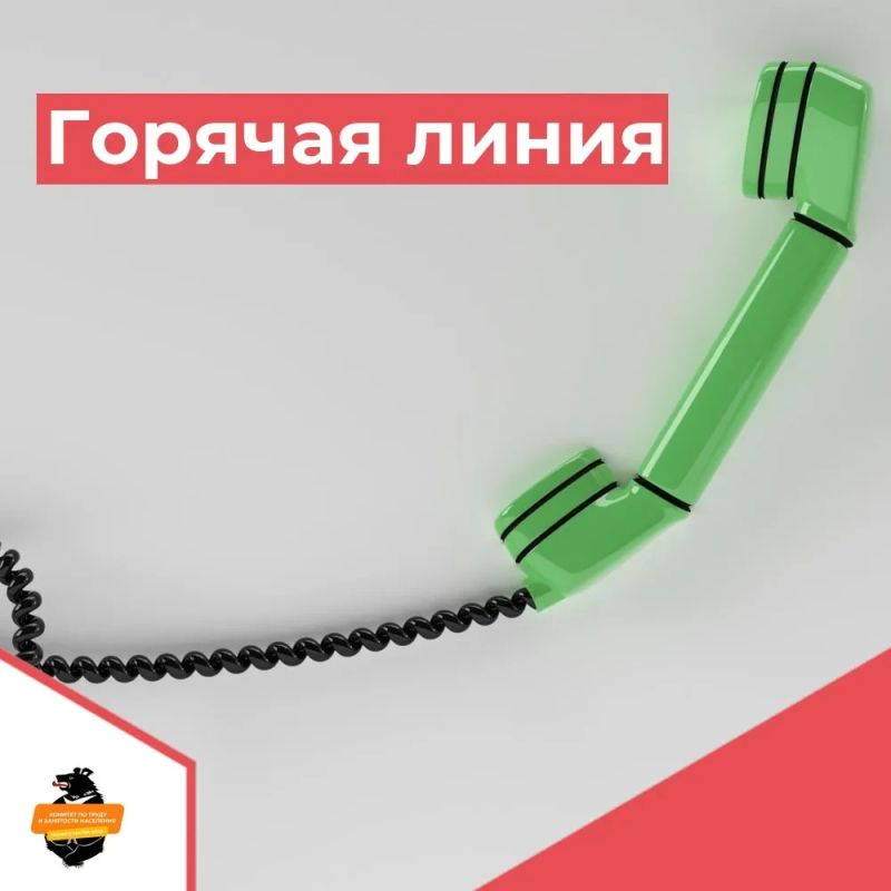 «Горячая линия» по вопросам обучения жителей края при содействии органов службы занятости состоится 24 июля 2026 г. с 10.00 до 17.00 часов