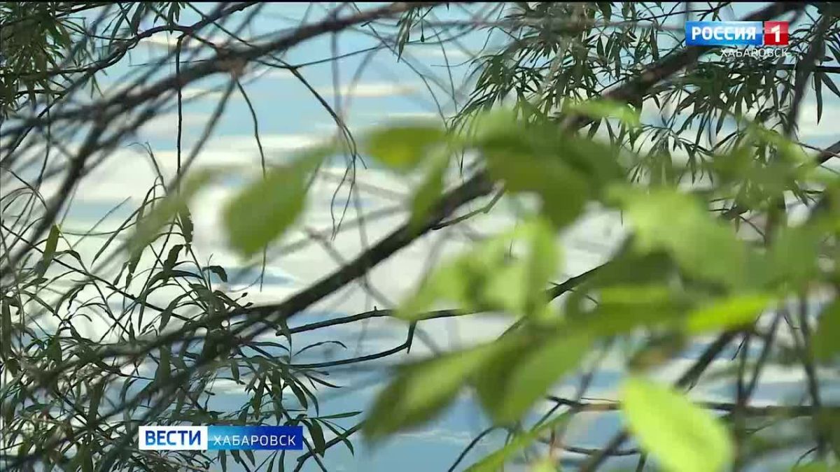С сегодняшнего дня возможен подъём уровня реки Кур в Хабаровском районе до «неблагоприятных явлений»