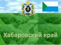 Цифровая поддержка героев: Хабаровский край переводит льготы для участников СВО в онлайн