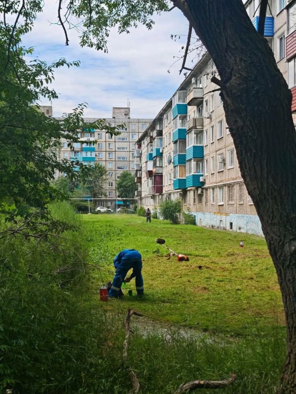 О результатах контроля содержания дворовых территорий УК в г. Комсомольске-на-Амуре О результатах контроля содержания дворовых территорий УК в г. Комсомольске-на-Амуре