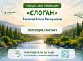 В Солнечном округе выбрали брендбук муниципалитета