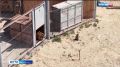 ����� �� ������������ ����, ���������� ����������, ����� ������ ����������