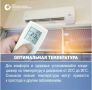 ���� � �������. � ������ ���� ����������� � ��� �� �������, � ������ �������� ������ ���� ������� � ��������������