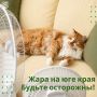 �� ���� ������ �� ��� ������� - ����