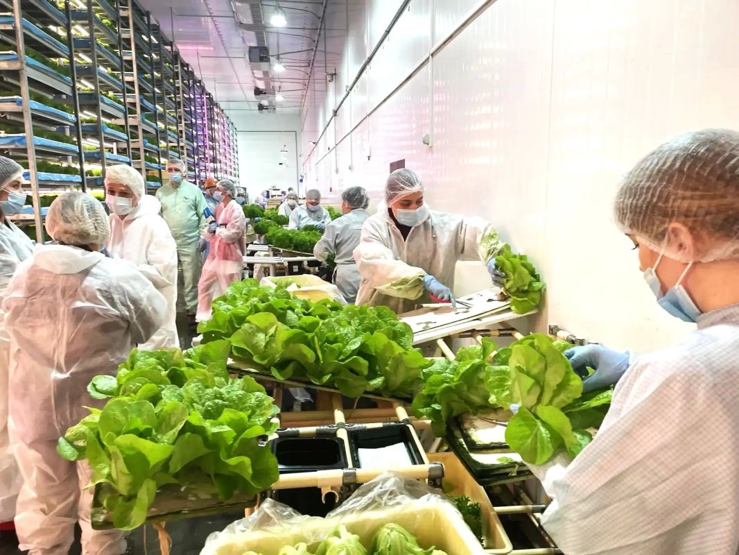 Сильные бренды работают под знаком "Сделано в Хабаровском крае"