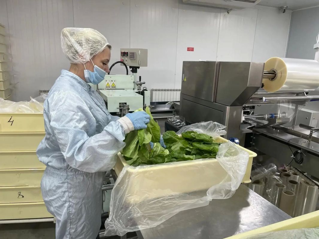 Сильные бренды работают под знаком "Сделано в Хабаровском крае" Сильные бренды работают под знаком "Сделано в Хабаровском крае"