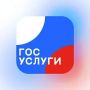 7 приложений Госуслуг для разных случаев