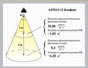 Фитолампы для растений: как искусственный свет изменяет домашний сад