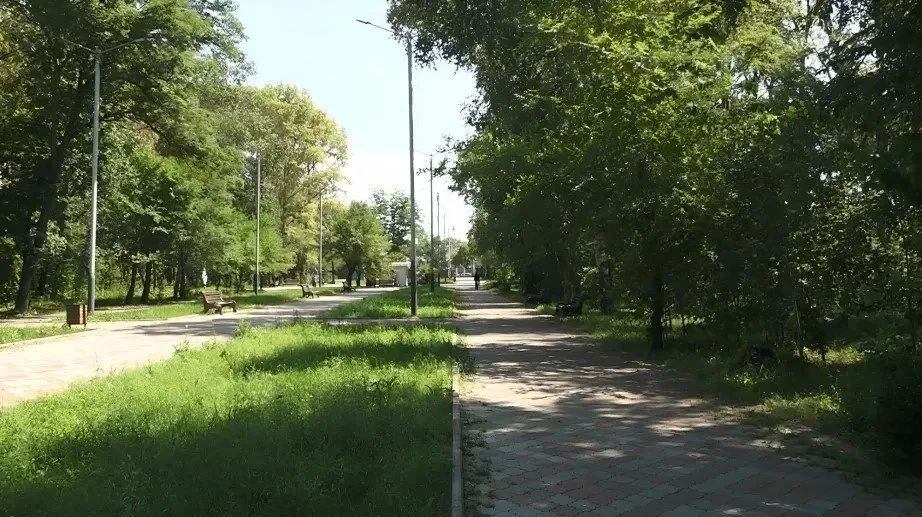Подходит к концу еще один этап благоустройства парка «Судостроитель» в Комсомольске Подходит к концу еще один этап благоустройства парка «Судостроитель» в Комсомольске