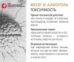 «Мозг в опасности». Вы знали, что даже умеренное употребление алкоголя может привести к необратимым изменениям мозга?
