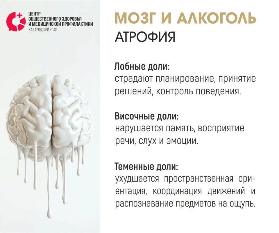 «Мозг в опасности». Вы знали, что даже умеренное употребление алкоголя может привести к необратимым изменениям мозга? «Мозг в опасности». Вы знали, что даже умеренное употребление алкоголя может привести к необратимым изменениям мозга?