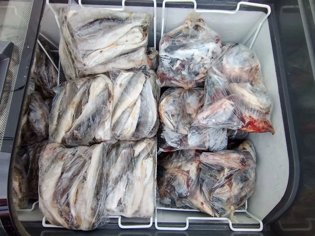 17 тонн рыбной продукции по доступным ценам 17 тонн рыбной продукции по доступным ценам