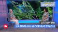 Насморк, заложенный нос, першение в горле – не спешите лечить простуду, может быть, это аллергия на пыльцу сорных трав