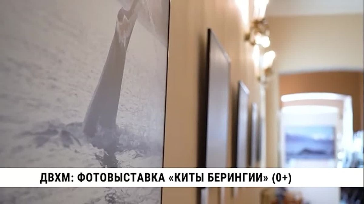 Призыв к защите жителей океана