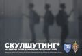 Скулшутинг*: маркеры поведения последователей
