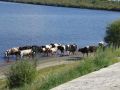 Погода в Хабаровском крае. Хабаровск