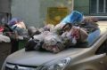 В Хабаровском крае введут штрафы за помехи вывозу мусора