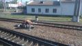 Какой сегодня день: День железнодорожника