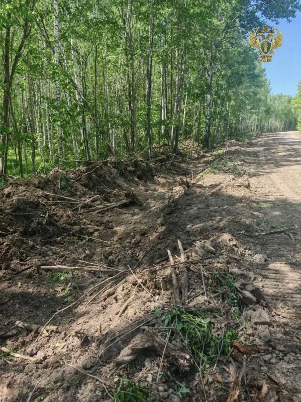В Хабаровском крае по материалам прокурорской проверки возбуждено уголовное дело за незаконную рубку леса В Хабаровском крае по материалам прокурорской проверки возбуждено уголовное дело за незаконную рубку леса