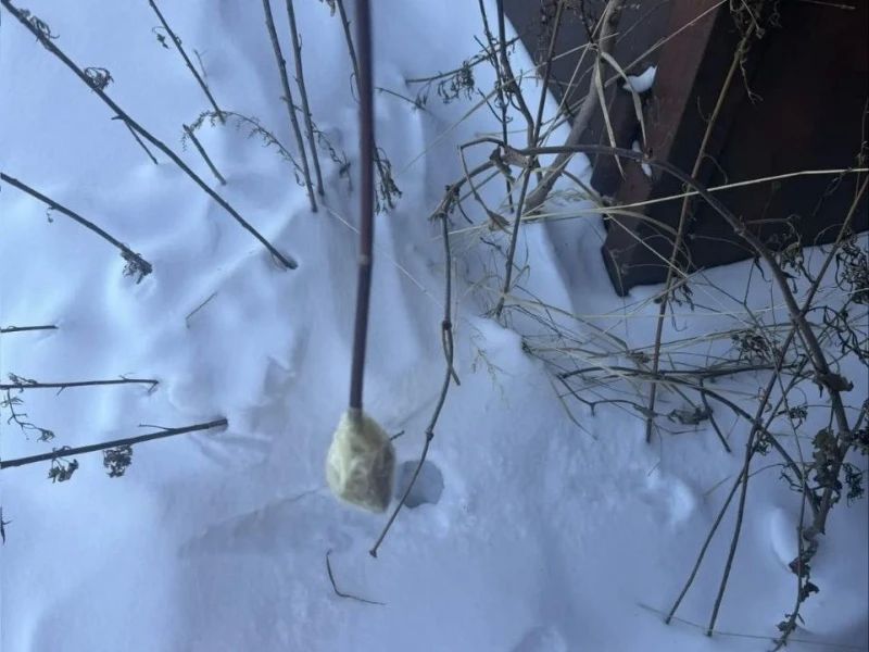 В Комсомольске-на-Амуре судом вынесен приговор по уголовному делу о покушении на незаконное распространение крупной партии синтетических наркотиков В Комсомольске-на-Амуре судом вынесен приговор по уголовному делу о покушении на незаконное распространение крупной партии синтетических наркотиков