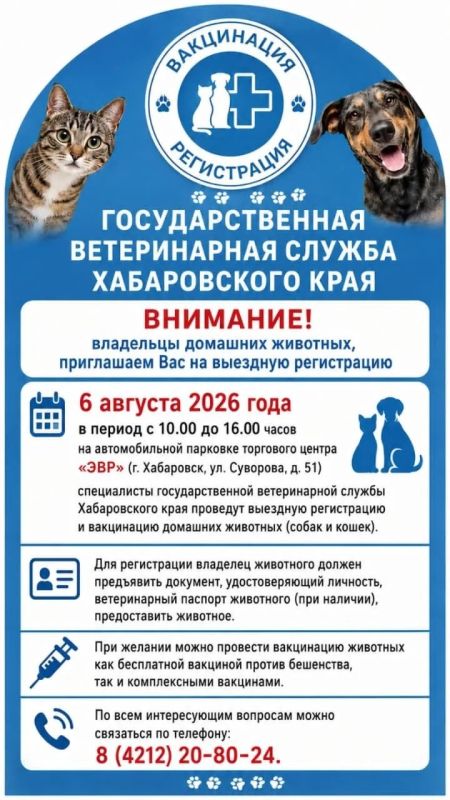Сергей Кравчук: Сегодня на аппаратном совещании ведущими темами стали: подъем уровня воды в Амуре и подготовка объектов социальной сферы к отопительному сезону Сергей Кравчук: Сегодня на аппаратном совещании ведущими темами стали: подъем уровня воды в Амуре и подготовка объектов социальной сферы к отопительному сезону