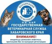 В Хабаровске пройдёт выездная регистрация и вакцинация домашних животных